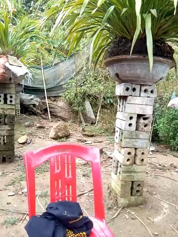 beobeo_2xx live cam screenshot female from Vietnam on WhoSpy.me — Watch Live Cams Now — screenshot #1