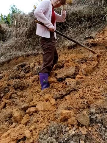 omai-ngot live cam screenshot female from Vietnam on WhoSpy.me — Watch Live Cams Now — screenshot #1